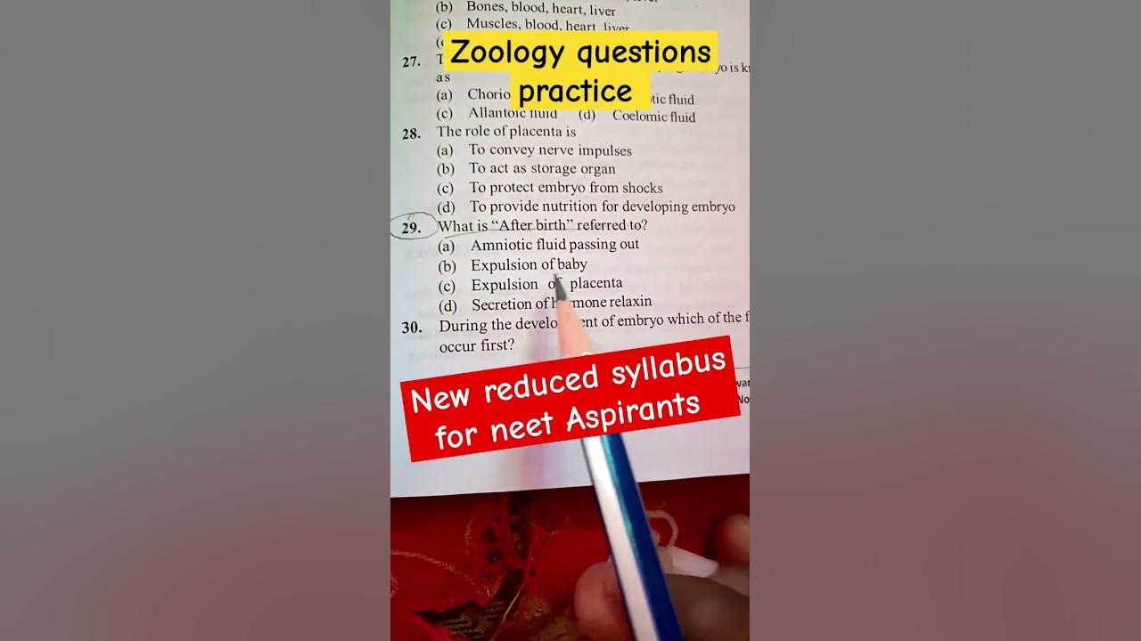 Expulsion Of Placenta Is Another Name Of Mbbs YouTube expulsion-of-placenta-is-another-name-of-mbbs-youtube