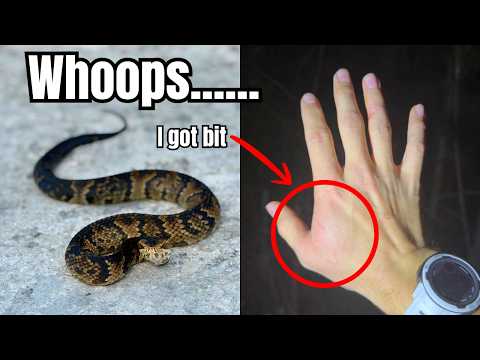 I was BITTEN! Finding Venomous Pit Vipers In Florida! 100 Species EP.3