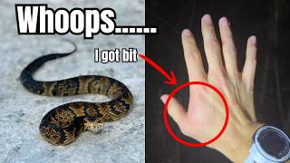 I was BITTEN! Finding Venomous Pit Vipers In Florida! 100 Species EP.3