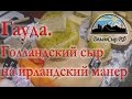 Гауда. Голландский сыр на ирландский манер