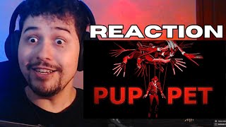 I WAS DECEIVED!!! PUPPET | A SERVERBLIGHT Story Reaction
