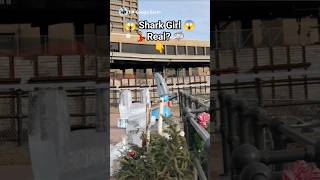 Shark Gir Real?L On Google Maps And Google Earth