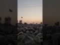 ترند العراق شمس الغروب فيديو 