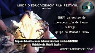 Trailer Equipo rescate Búho - MECFILMFESTIVAL.COM