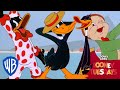 Looney Tuesdays | Daffy Please Stop | Looney Tunes | WB Kids