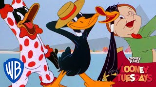 Looney Tuesdays | Daffy Please Stop | Looney Tunes | WB Kids