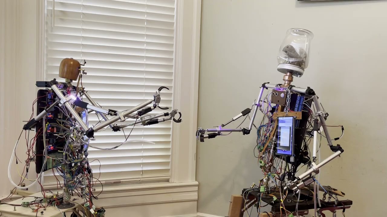 Autonomous Robots Discuss Daylight Savings