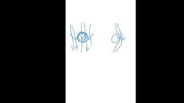 DC MOTOR PRINCIPLE i Shashi Kant Vij