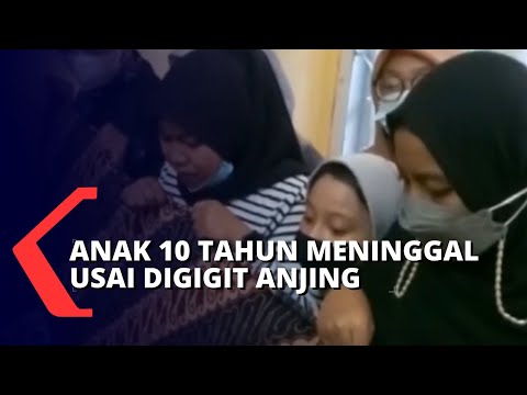 Video: Apakah Bartonella Henselae Berkontribusi Pada Kematian Dua Dokter Hewan?