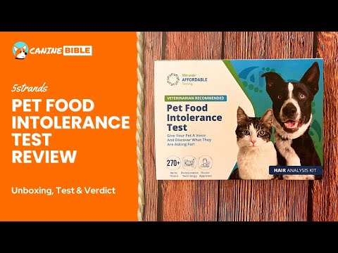 5Strands Food Allergy Test For Dogs Reviews Our Dog's Results