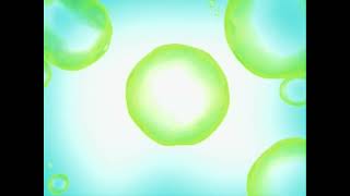 O Entertainmentnickelodeon 2007