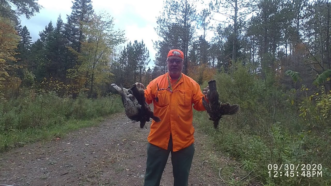 UPLAND BIRD HUNTING 2020 Episode 3 YouTube