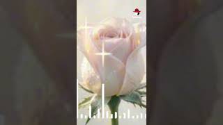 ✨Исцеляющая Мелодия- Нежности Фрагмент 💫 Healing Music: A Manifesto of Tenderness✨