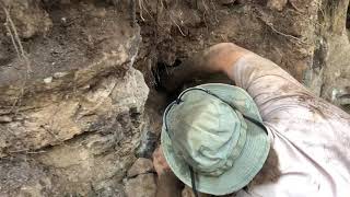 Detailed Nick Forge’s Dinnerbell Pocket: Watch Quartz Crystals are Unearthed! Information