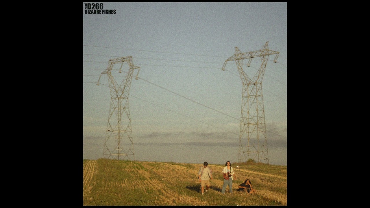 BIZARRE FISHES - road D266 (full EP)