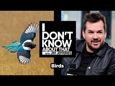 Birds | I Don’t Know About That with Jim Jefferies