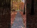 The Fall Song! (I meant to post this at the beginning of fall…) #nature #fall #song  #shorts