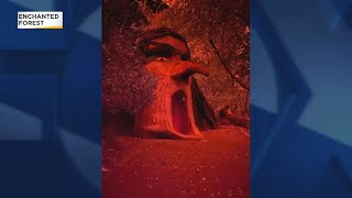 Enchanted Forest turns ‘very dark, very red, very eerie’ in shadow of wildfires