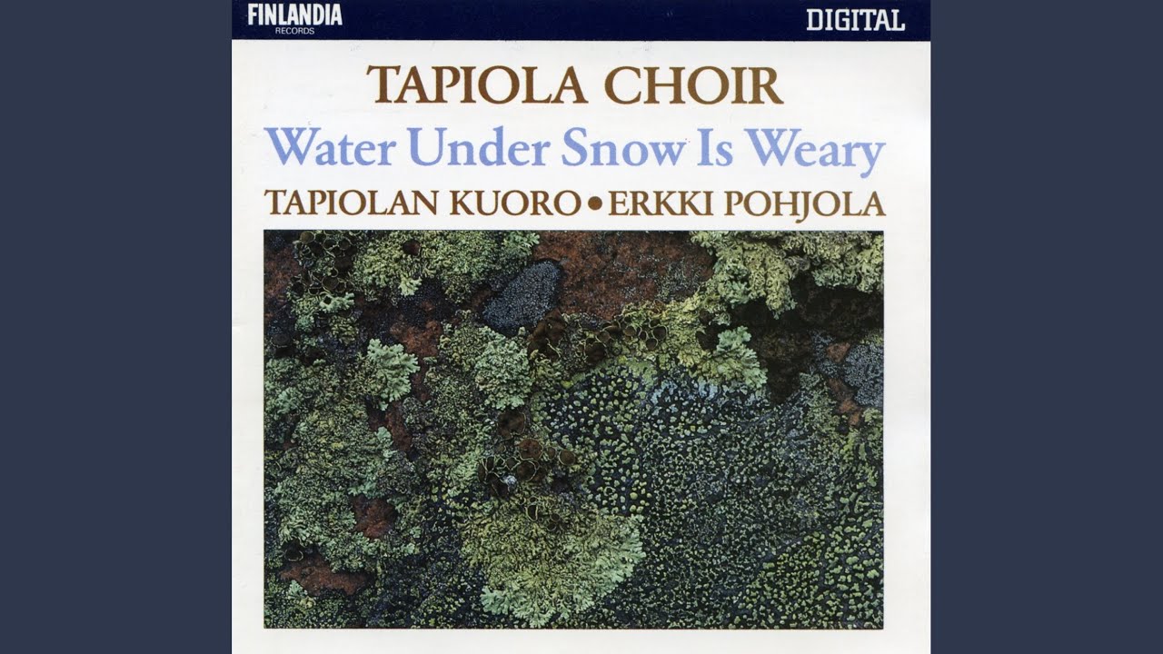 On suuri sun rantas autius [How Lonely Is Your Shore]