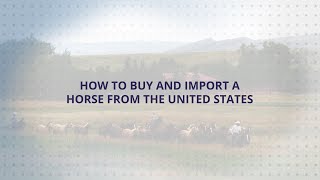 USLGE | Equine | How to Buy and Import a Horse from the Untied States (English)