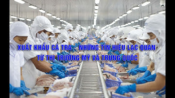 VASEP Highlight - T1/2023: xuất khẩu cá tra – những tín hiệu lạc quan từ thị trường Mỹ và Trung Quốc