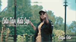 Gaya Ode - Cinta Talor Mata Sapi (Official Music Video 2021)