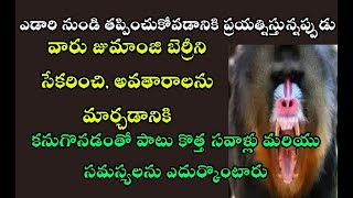 ఎడారి నుండి తప్పించుకోవడానికి ఆకుపచ్చనీటి కొలనునికనుగొనడంతో పాటు కొత్త సవాళ్లు సమస్యలను ఎదుర్కొంటారు