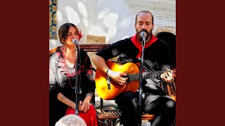 Disfruto - Harf