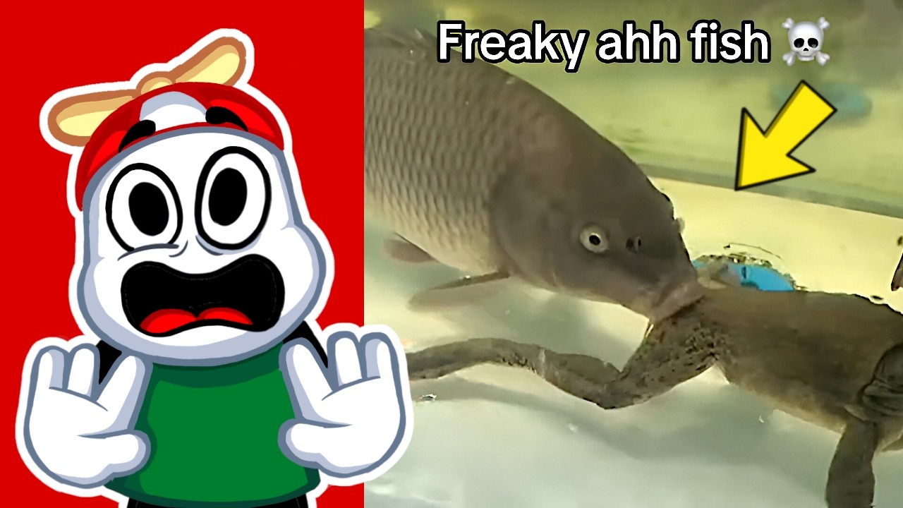 Estos Memes De Tiktok Me Hicieron Perder Fe En La Humanidad / Sabado De Memes