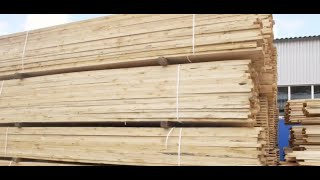 Wood pulp shortage cause price increase for everything from toilet paper to new home building