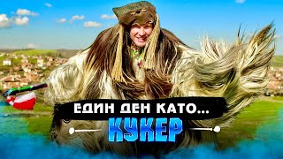 ДЕН като КУКЕР еп.4