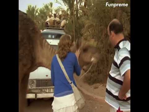 Funny Video - Best Funny Videos 2019 ● Cute Girls Doing Funny Things P3