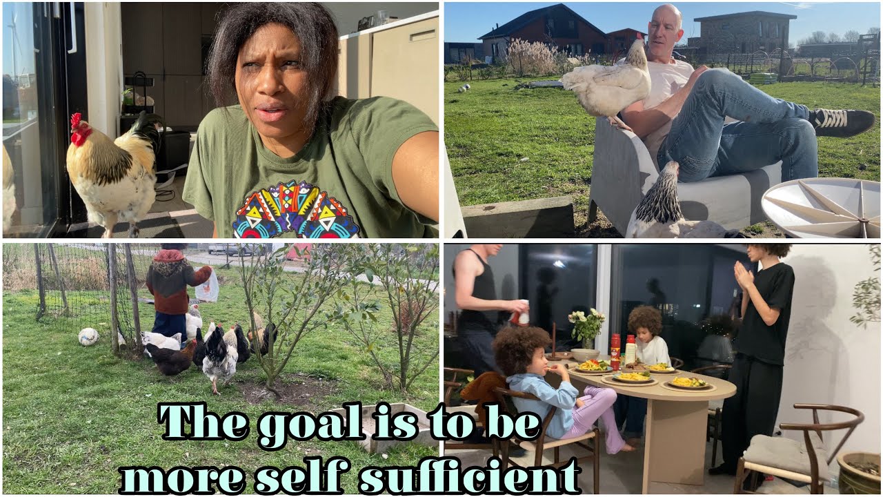 Slow living on a small scaled homestead 