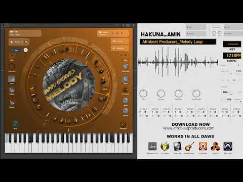 FREE DOWNLOAD Melody Loop 100% Royalty Free | Afro House Melody Sample | Hakuna Amin 121BPM wav