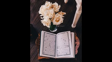 تلاوة هادئة وعطرة آيات بينات من الذكر الحكيم