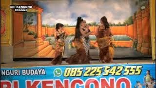 SRI KENCONO ( Sedekah Bumi Pengkolrejo ) Tamansari