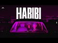 4  4  شايب وشيربو حبيبي