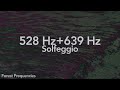 528 + 639 Hz Healing Frequencies | Heart Energy, Love & Emotional Balance | 3 Hours