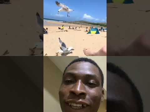 Wait for it😂 #funny #comedy #youtubeshorts #trending #funnyvideo #shortvideo #viralvideo #shorts