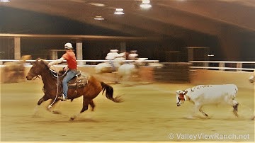 LB Smart Chic***For info, price, etc., go to our website*** ValleyViewRanch.net