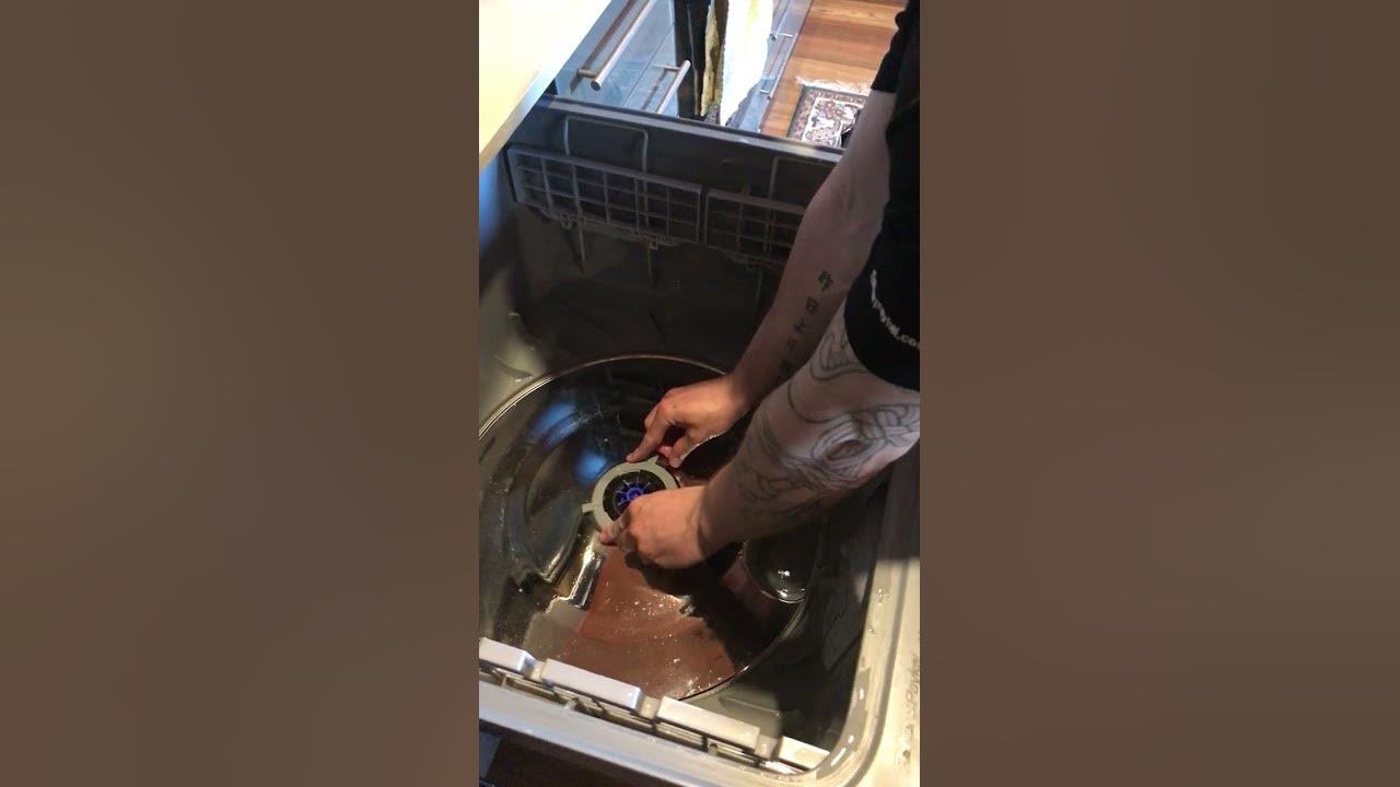 How to clean Fisher and Paykel DishDrawer (DD60S17) YouTube