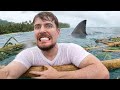 Trapped on an island until build a boat