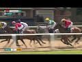 The stars aligned! | Align The Stars storms to success in the Northumberland Plate!