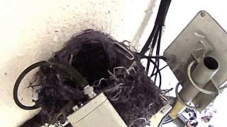 20140525 26 Time lapse video