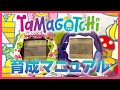 【たまごっち育成動画】オリたま遊び方紹介します♪