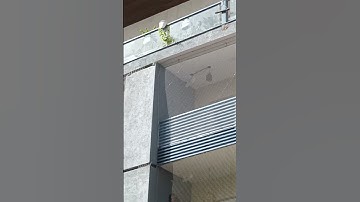 Anti bird net in Gurgaon | lowest price Delhi NCR | Call 7840821383 #pigeonnetting #pigeonnet