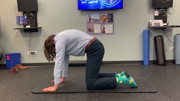 Cat Camel (Spinal Segmentation)