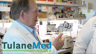 Tulane Med Insider: Jay Kolls, MD