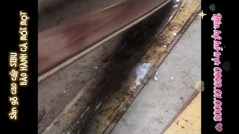 Sàn gỗ công nghiệp có chiu được mối mọt không?