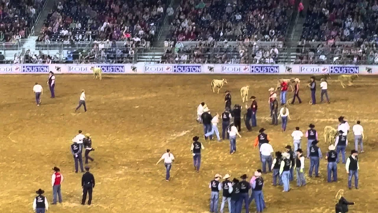 2015 Calf Scramble at Houston Rodeo YouTube